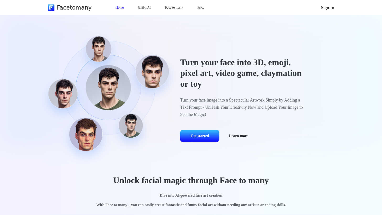 Face to Many application interface and features