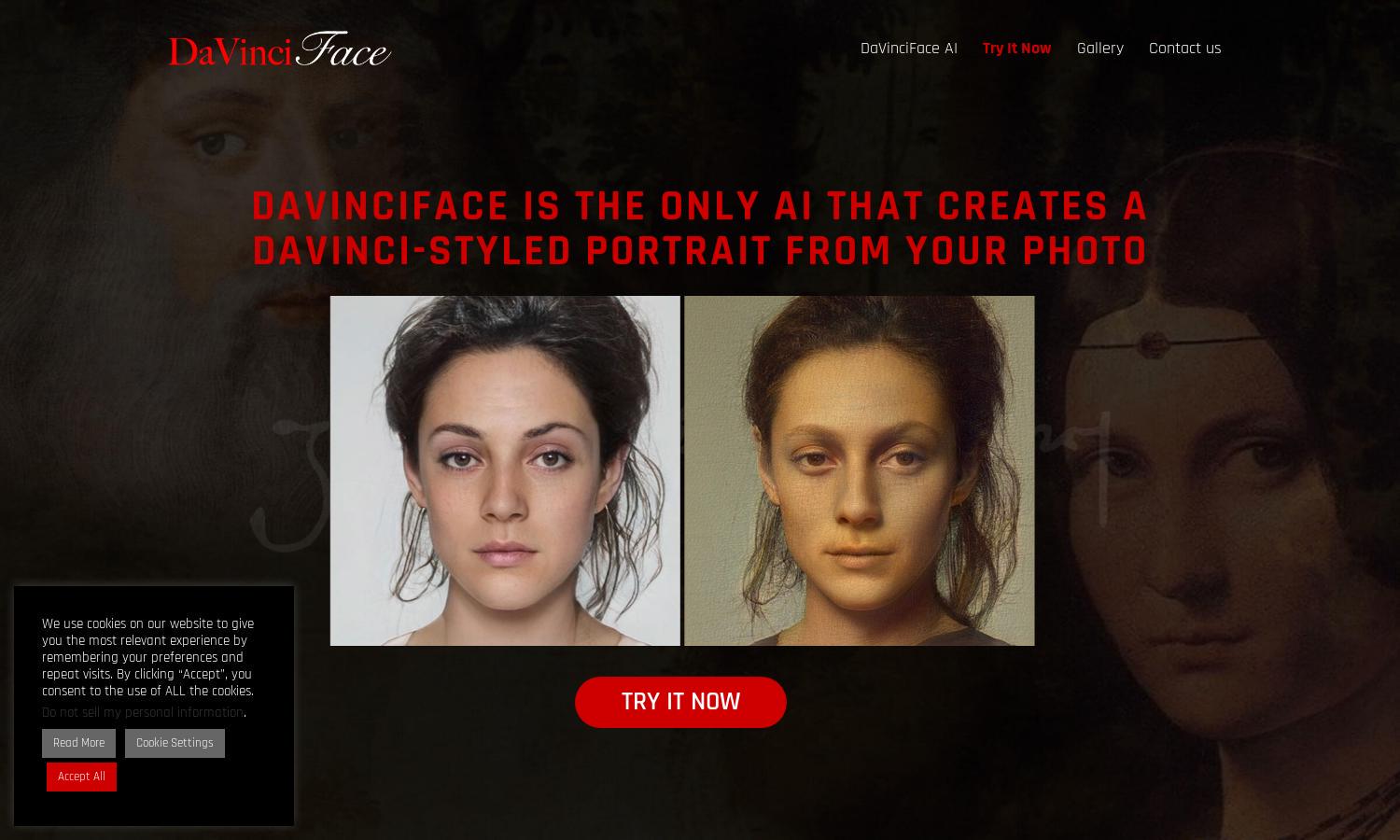 DaVinci Face Website