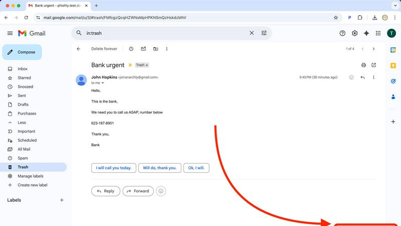Phishly application interface and features